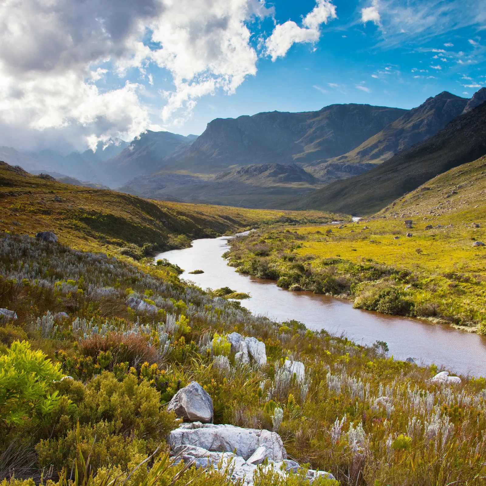 Kogelberg Biosphere Reserve landscape