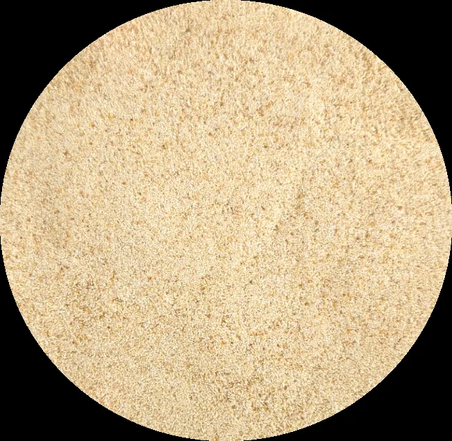 Bioshroom Lion's Mane powder in a bowl