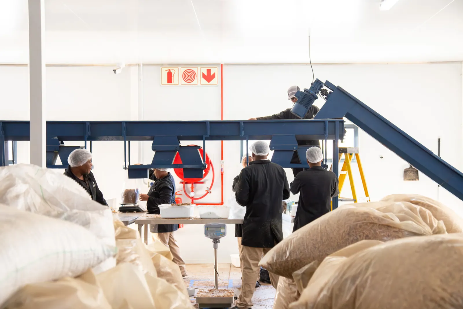 Team members weighing and preparing raw substrate materials in the Bioshroom facility