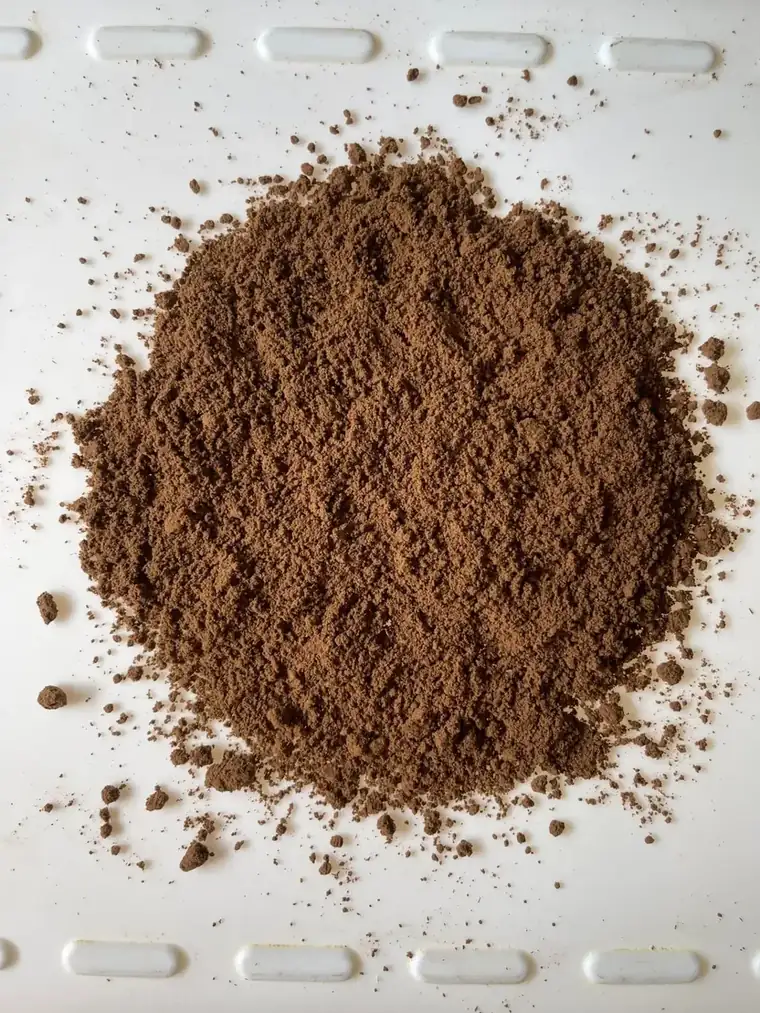 Bioshroom Reishi mushroom powder, finely milled from dried fruiting bodies