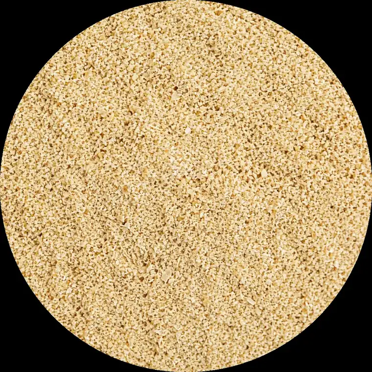 Bioshroom Lion's Mane powder in a bowl