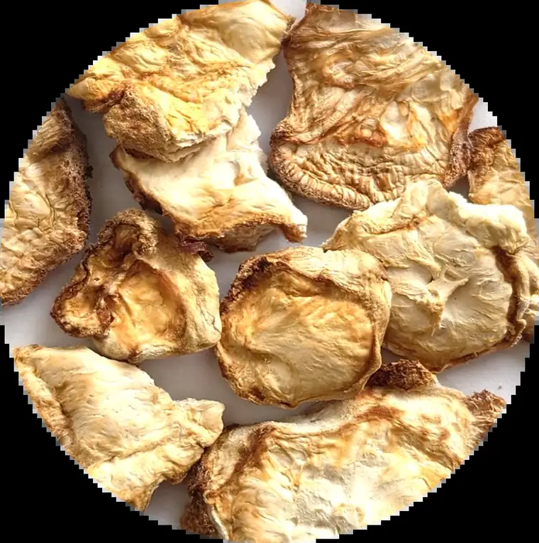 Bioshroom Lion's Mane sliced in a bowl