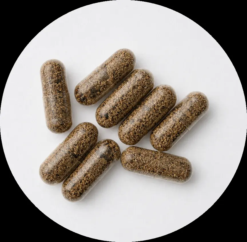 Bioshroom Lion's Mane extract powder in a bowl