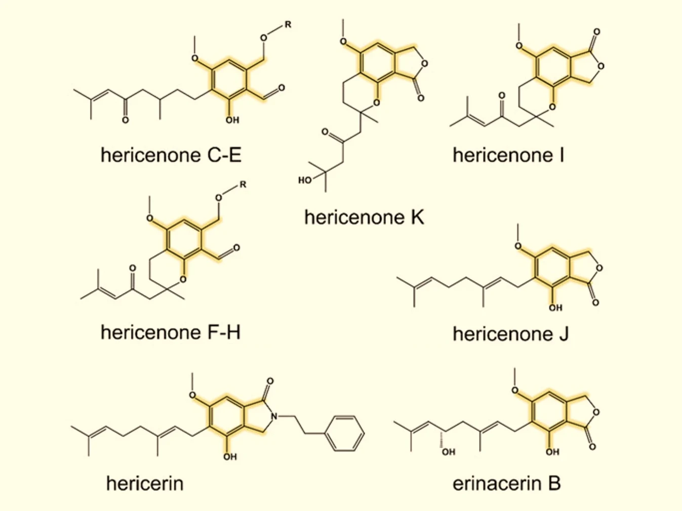 Chemical structures of Lion's Mane hericenones and related aromatic compounds.